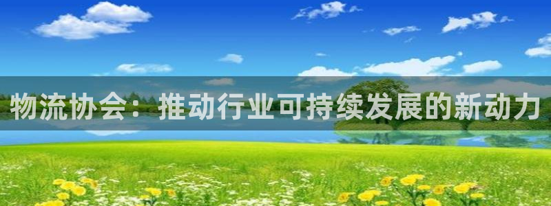 狗子28分分28输了能不能退：物流协