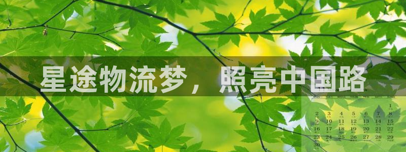 狗子28电子：星途物流梦，照亮中国路