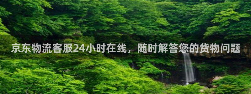 狗子28加拿大真假怎么看：京东物流客