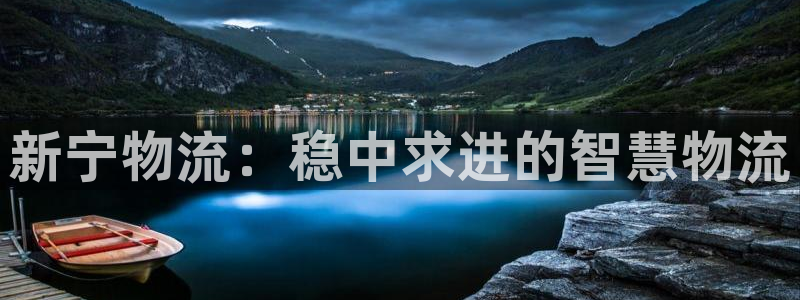 狗子28麻将胡了在线试玩：新宁物流：稳中求进的智慧物流
