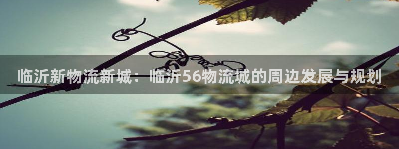 狗子28初始密码在哪里修改：临沂新物