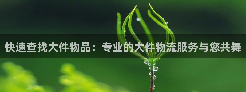 狗子28官网入口南宫：快速查找大件物