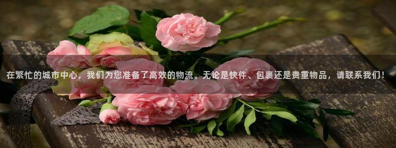狗子28注册链接：在繁忙的城市中心，