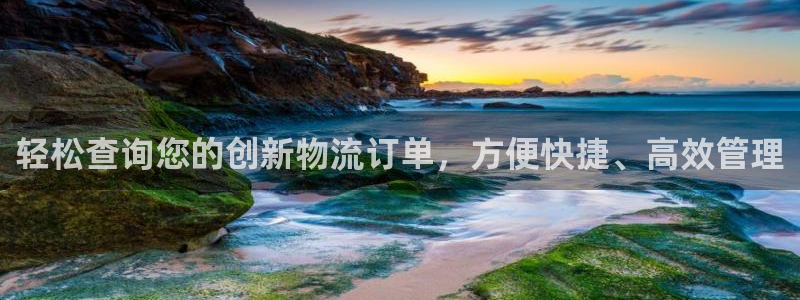 狗子28官网平台：轻松查询您的创新物