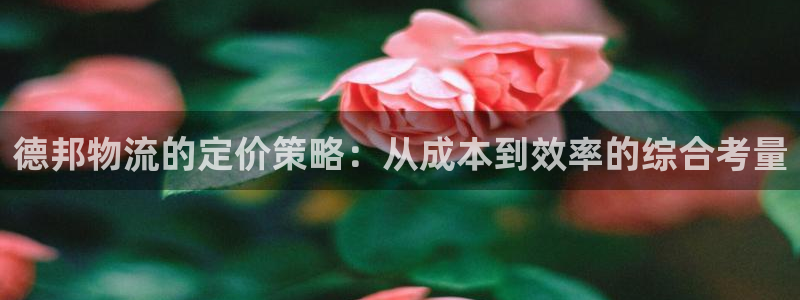 狗子28加拿大2.8预测在线预测：德