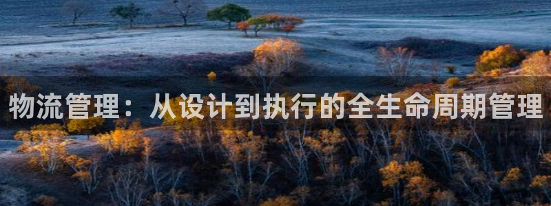 狗子28是正规软件吗：物流管理：从设