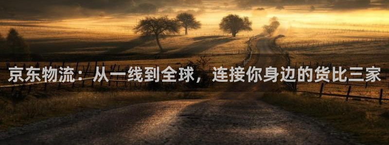 狗子28加拿大官网：京东物流：从一线