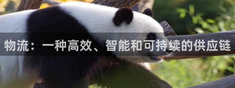狗子28注册登录：物流：一种高效、智