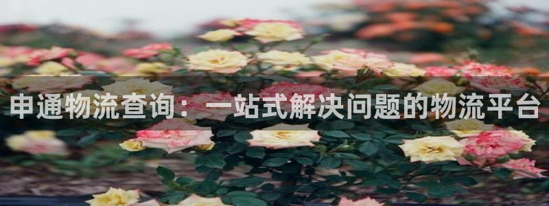 狗子28机器人是什么软件：申通物流查