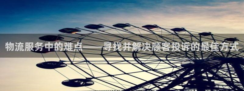 狗子28充值不处理怎么办：物流服务中