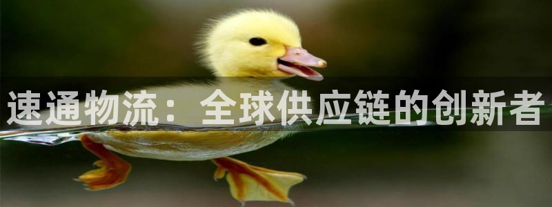 狗子28网赌有什么风险：速通物流：全