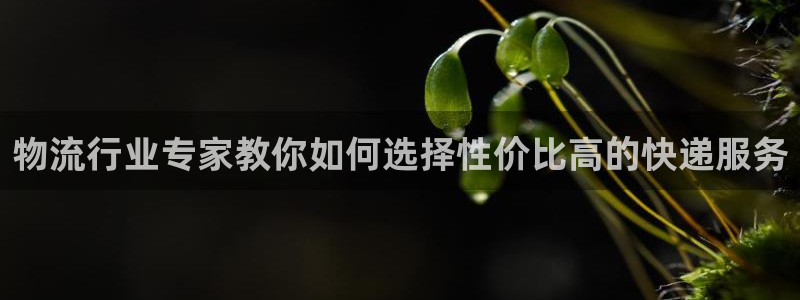 狗子28麻将胡了爆分视频：物流行业专
