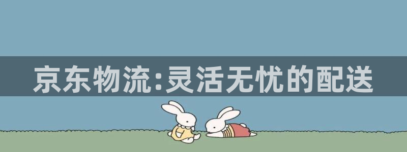 狗子28代理落网：京东物流:灵活无忧