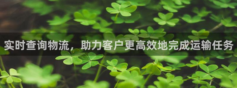 狗子28PG电子游戏：实时查询物流，