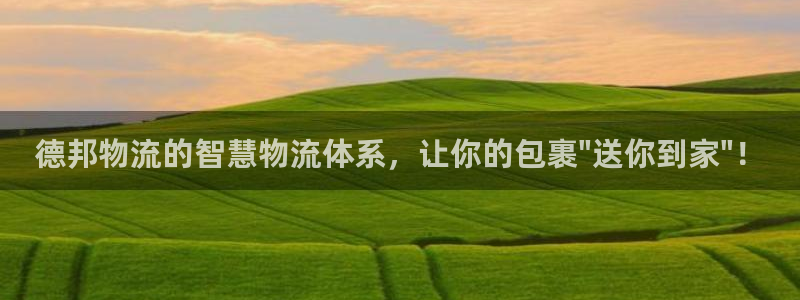 狗子28圈助手：德邦物流的智慧物流体