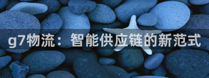 狗子28代理落网：g7物流：智能供应