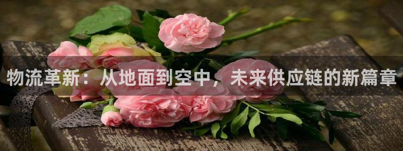 狗子28官网版下载：物流革新：从地面