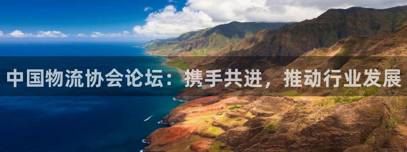 狗子28官网下载链接是什么：中国物流