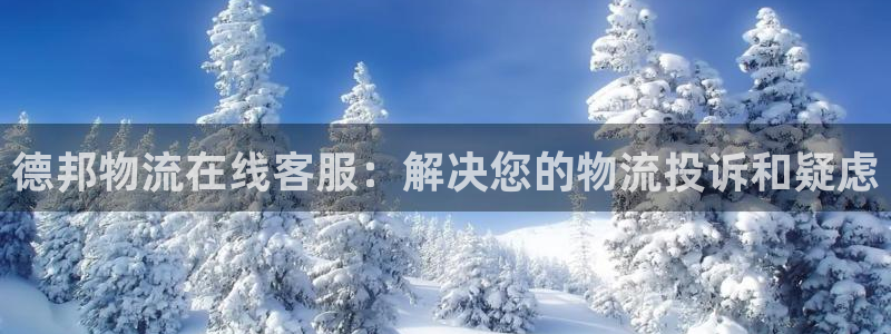 狗子28能赢钱吗：德邦物流在线客服：解决您的物流投诉和疑虑