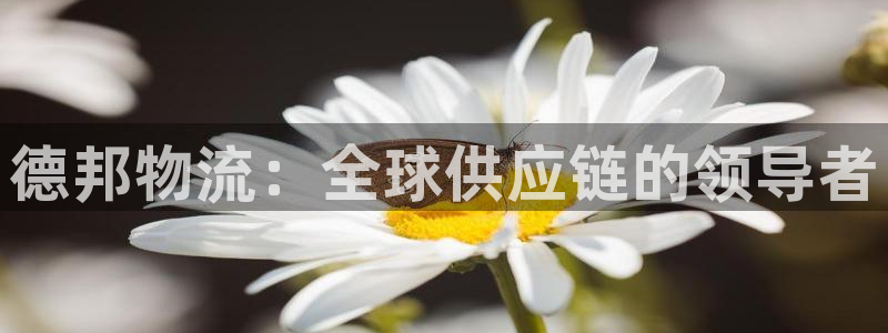狗子28头像：德邦物流：全球供应链的