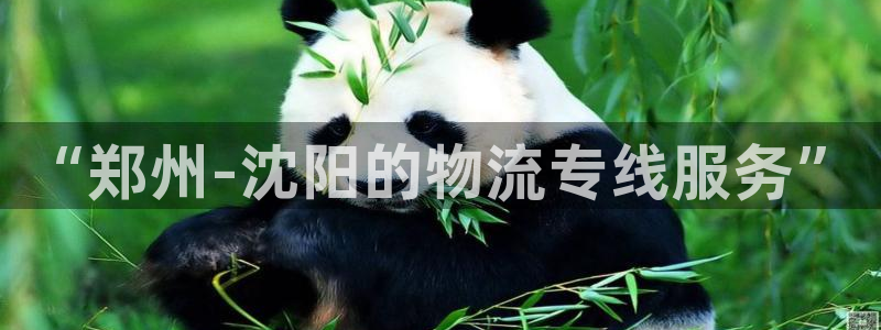 狗子28分分28输了能不能退：“郑州-沈阳的物流专线服务”