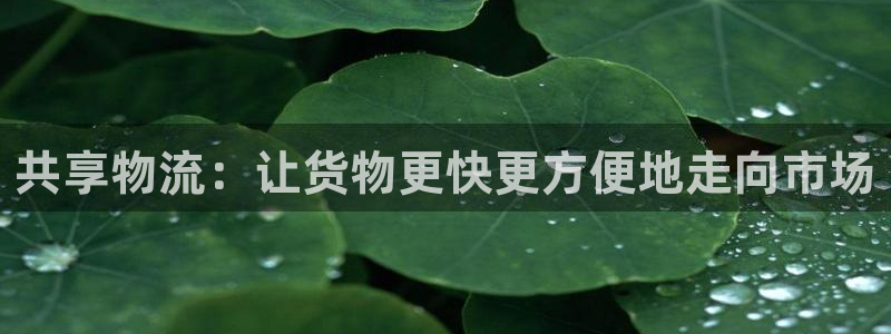 狗子28登录流程：共享物流：让货物更