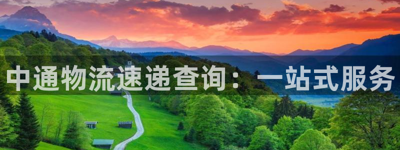 狗子28注册上限是啥意思：中通物流速