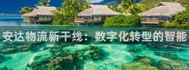 狗子28口戒指是多大：安达物流新干线