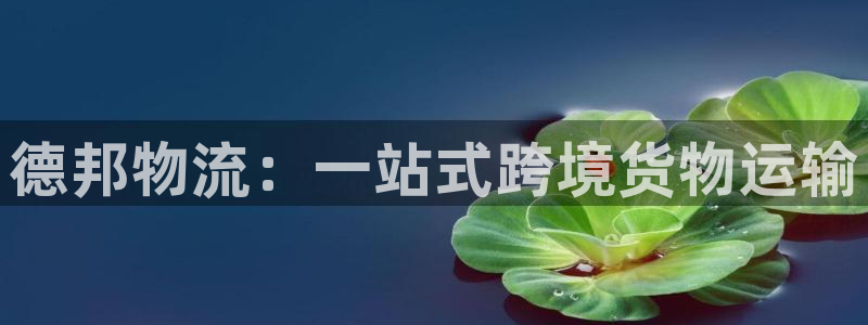 狗子28官网下载多少钱一个:德邦物流