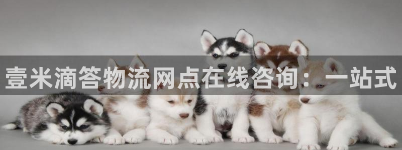 狗子28网站平台:壹米滴答物流网点在