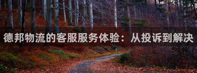 狗子28客服电话:德邦物流的客服服务