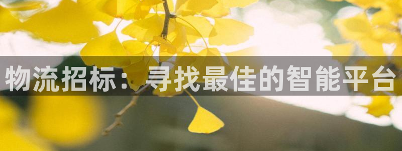 狗子28推广链接是多少钱一个：物流招