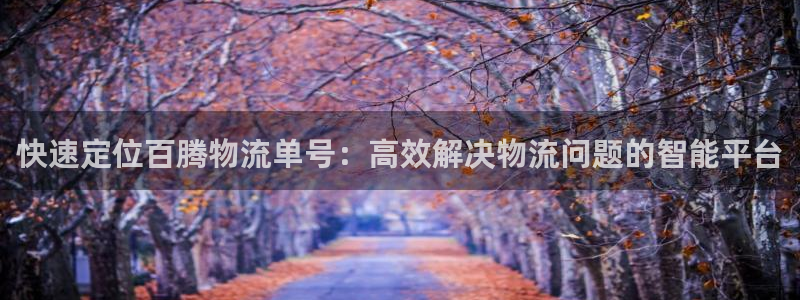 狗子28官网入口2024