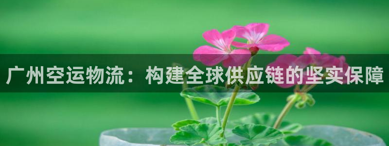 狗子28官网入口pc是诈骗吗?：广州