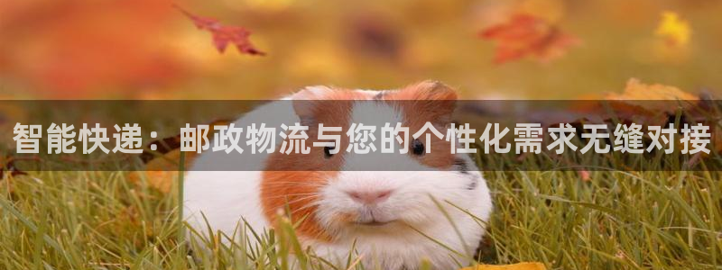 狗子28PG电子游戏：智能快递：邮政